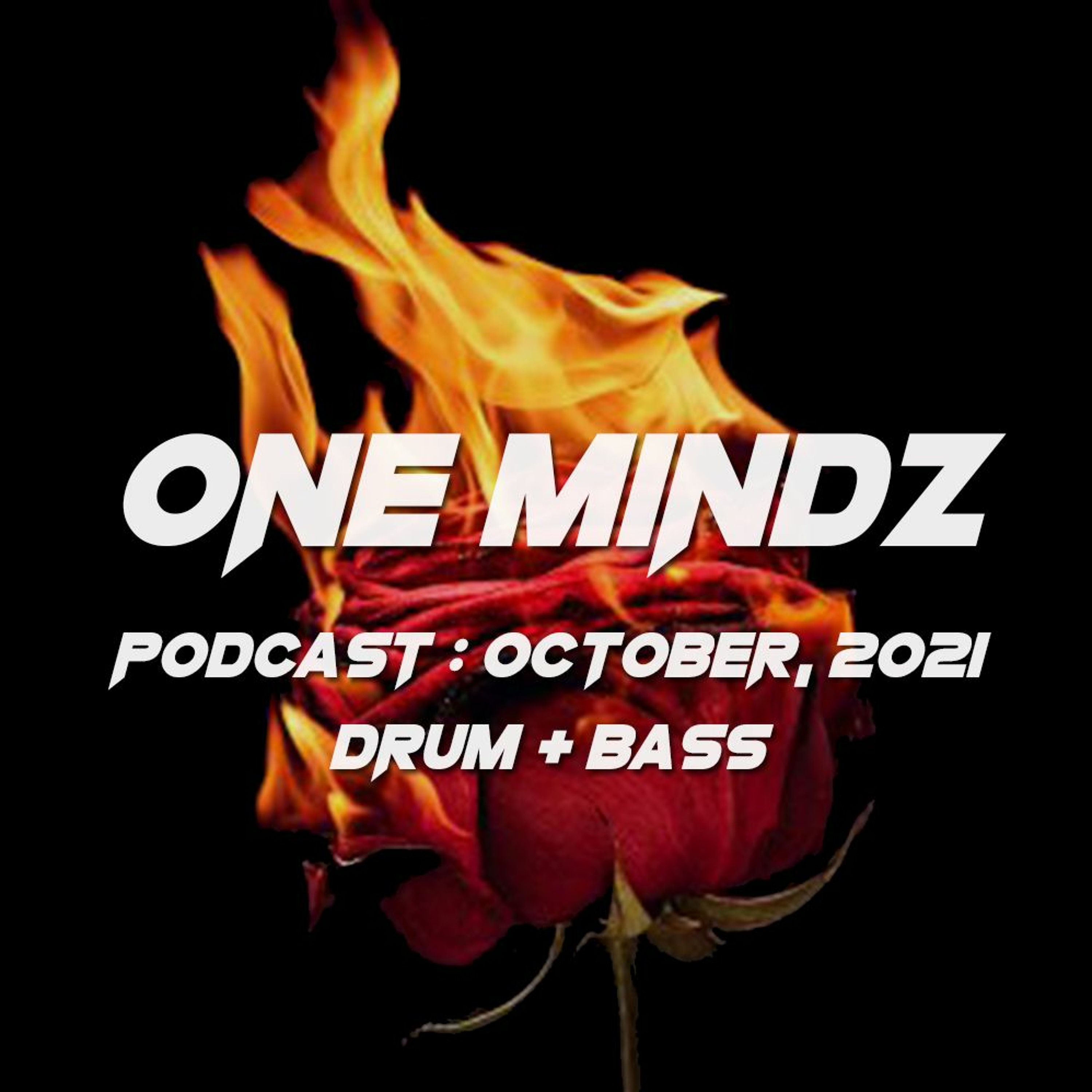 One Mindz Podcast (Drum & Bass)