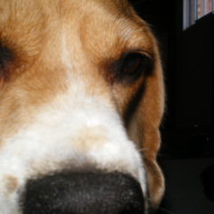 fazendo todas as coisas que eu costumava com pessoas pt. 2