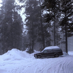 f4d3d🤍 (le0 x swan)