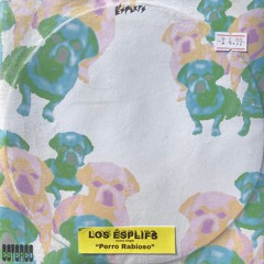 Perro Rabioso (3rd Single)