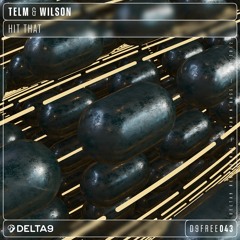 Telm & Wilson - Hit That [Delta9 Recordings]