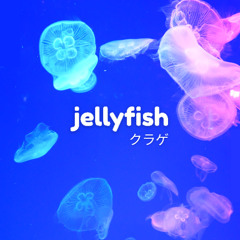 jellyfish (chill lofi)