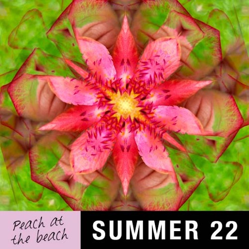 Summer 2022 - Peach at the beach: Live from Mayreau July 20th