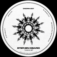 PREMIERE: Stephen Disario - Coldsweats [CNDRM007]