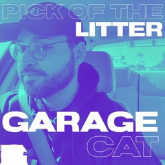 Garage - Cat - GHR Feb - 26 - 2023