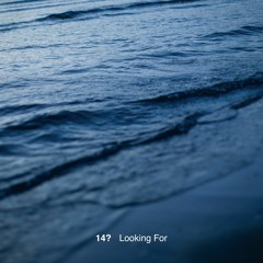 14? "Looking For"