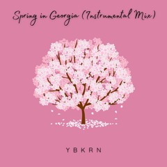 Spring In Georgia (Instrumental Mix)