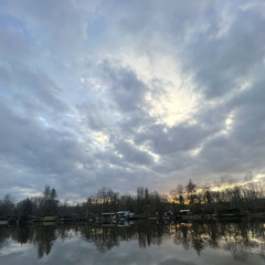 Dans la jungle , terrible jungle