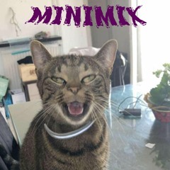 MINIMIX VOL. 1