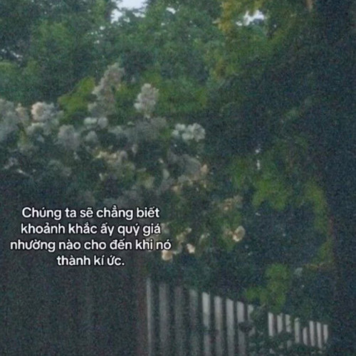 Cố Quên Đi 1 Người - Vũ Quốc Nhật