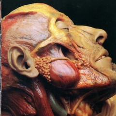 Lymphatic Phlegm - Compulsive Concupiscentia Of Pathologist