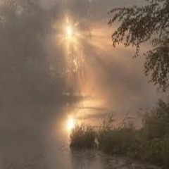 ✧ 𝒢𝓇𝑒𝓃𝓉 𝒫𝑒𝓇𝑒𝓏 ✧ 𝒞𝒽𝑒𝓇𝓇𝓎 𝒲𝒾𝓃𝑒 ✧ 𝒮𝓁𝑜𝓌𝑒𝒹 & 𝑅𝑒𝓋𝑒𝓇𝒷ℯ𝒹 ✧