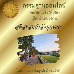 นำเดินจงกรม สติสะสมกำลังทุกขณะ