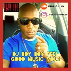 DJ BOY BOY FEEL GOOD MUSIC VOL 1