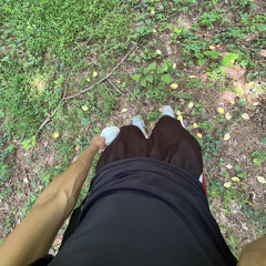 untitled demo - 01/27/25