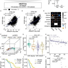 Data 01x05.13 in C Major