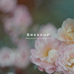 breakup /w Phlocalyst