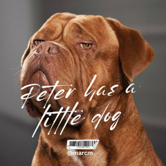 Peter had a little dog