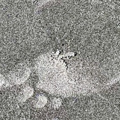 Footprints Foot Prints Foot Prints