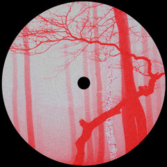 PREMIERE: Trentemøller - Moan (Nicolas Barnes Edit)