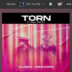 REZarin & Cuish - Torn - Are You Me feat. Sam Welsh