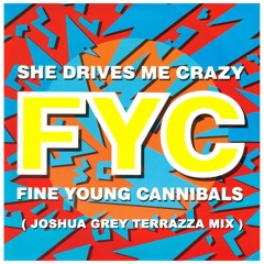 FYC - She Drives Me Crazy (Joshua Grey Terrazza Mix)