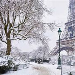 Rive Gauche