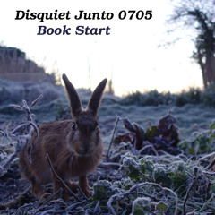 raising hare [disquiet0705]
