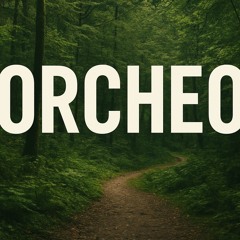 Orcheo WeRa AKAI & DžonAss sa Re