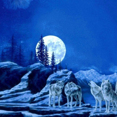 Wolfpack (full)
