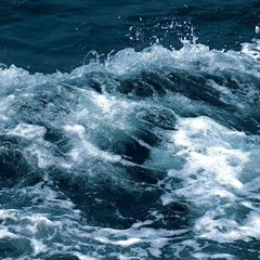 쏜애플 - 게와 수돗물