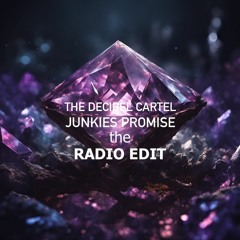 Junkies Promise