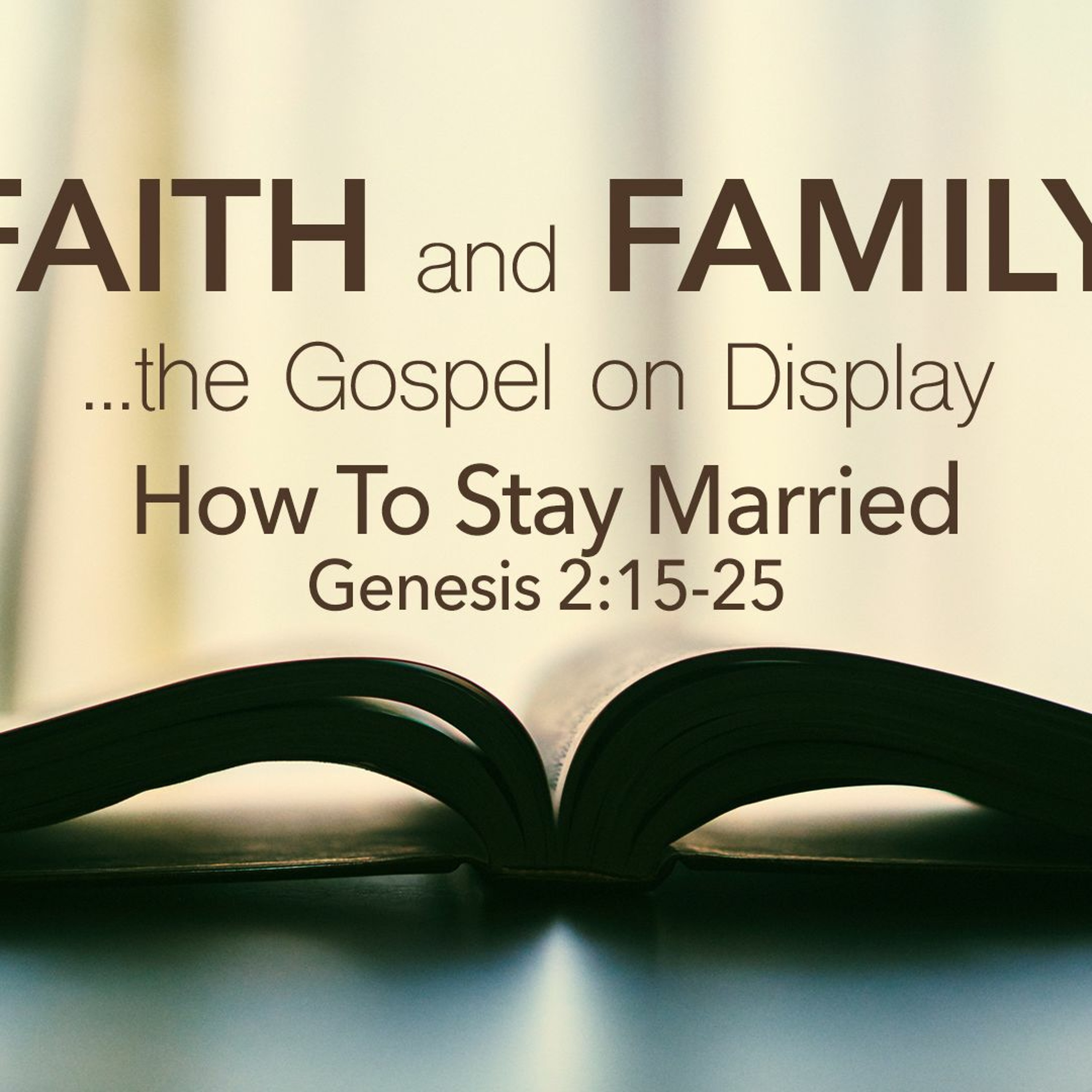 How To Stay Married (The Hub) episode artwork