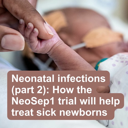 Neonatal infections (part 2): How the NeoSep1 trial will help treat sick newborns