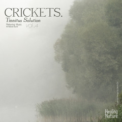 Cricket Sounds