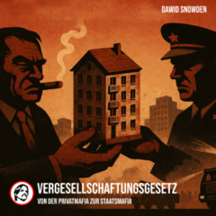 Vergesellschaftungsgesetz: Von der Privatmafia zur Staatsmafia - Dawid Snowden