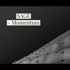 Momentum