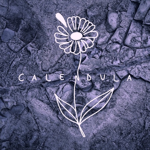 Mi'klós - Calendula 002 (warm up for Macarie)