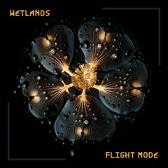 Wetlands (DJ-Mix)