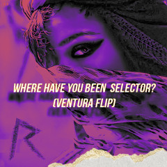 Where Have You Been Selector? (VENTURA FLIP)