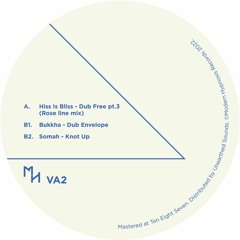 Various Artists Vol.2 - Hiss Is Bliss, Bukkha & Somah (Out Now!!)