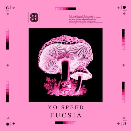 Fucsia