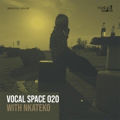 VocalSpace Sessions VS020 with N-kat