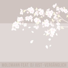 Vergänglich feat. DJ Just (Prod. by Lazerpony)