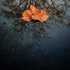 Freestyle Soirée 2014 (Phone)