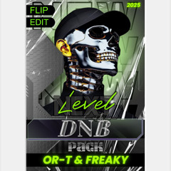 NEXT LEVEL (FLIP AND VIP EDIT) DNB PACK VOL-2 ( OR-T VS FREAKY )