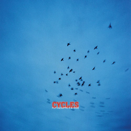 cycles w/ flitz&suppe