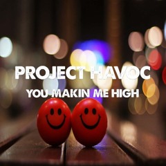 PROJECT HAVOC - YOUR MAKIN ME HIGH Mp3