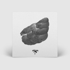 Arutani - Tides (DJ Balaton Remix)