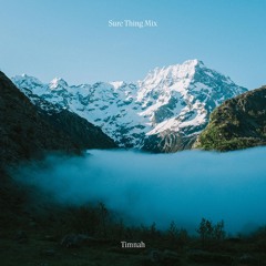 Sure Thing Mix 142: Timnah